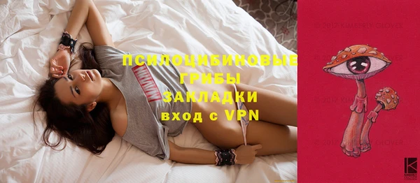 соль ск Инсар