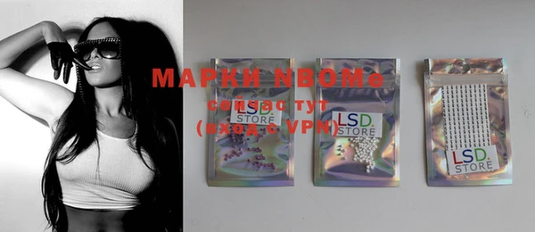 соль ск Инсар