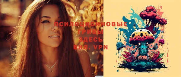 соль ск Инсар