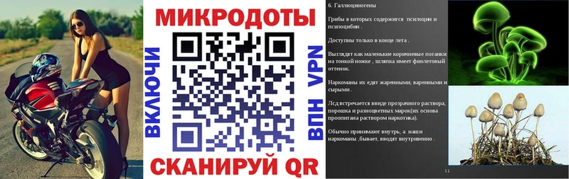 Псилоцибиновые грибы GOLDEN TEACHER  Купить  Северская 